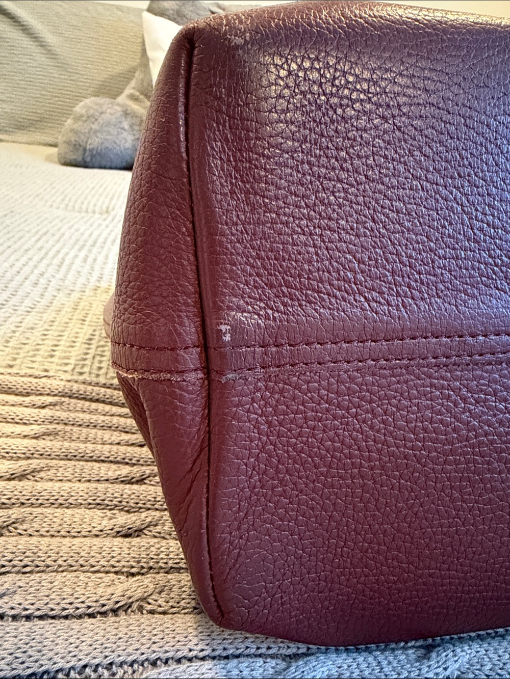 Cuyana Zippered Leather Tote with Monogram - Picture 9 of 10
